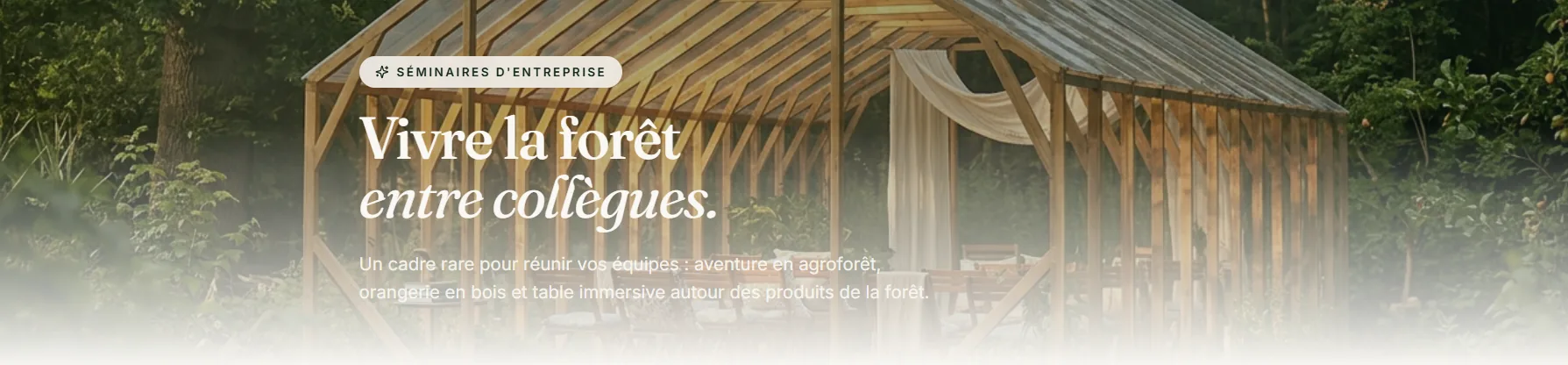 Séminaires d'entreprise en forêt — La forêt nous régale